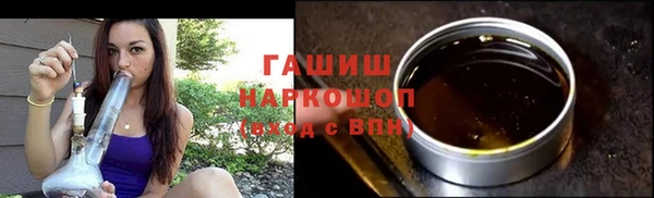 хмурый Аркадак