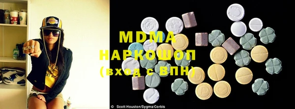 хмурый Аркадак