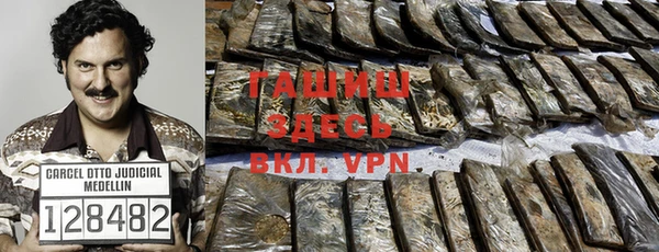 хмурый Аркадак