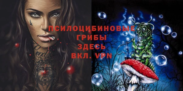 хмурый Аркадак