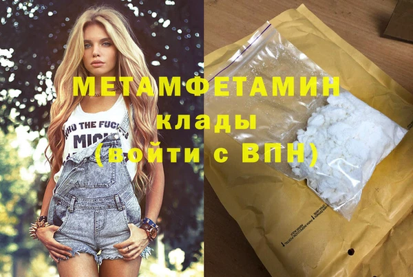 хмурый Аркадак