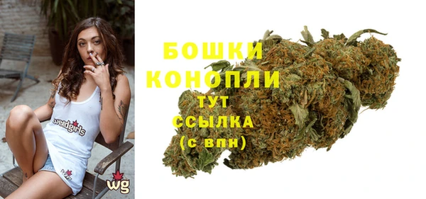 хмурый Аркадак