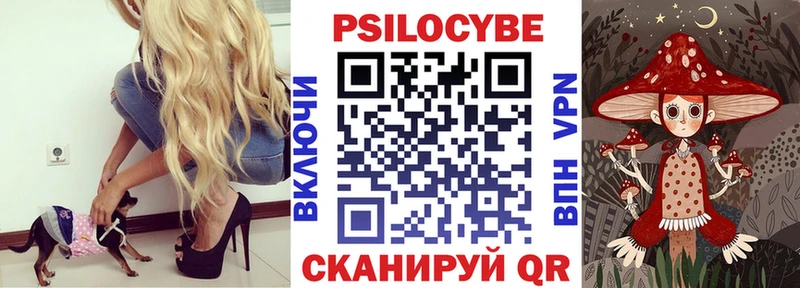Купить закладки  Донской  Галлюциногенные грибы Magic Shrooms 