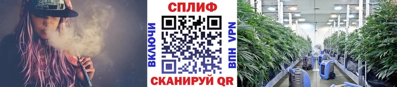 Шишки марихуана THC 21% Купить Донской